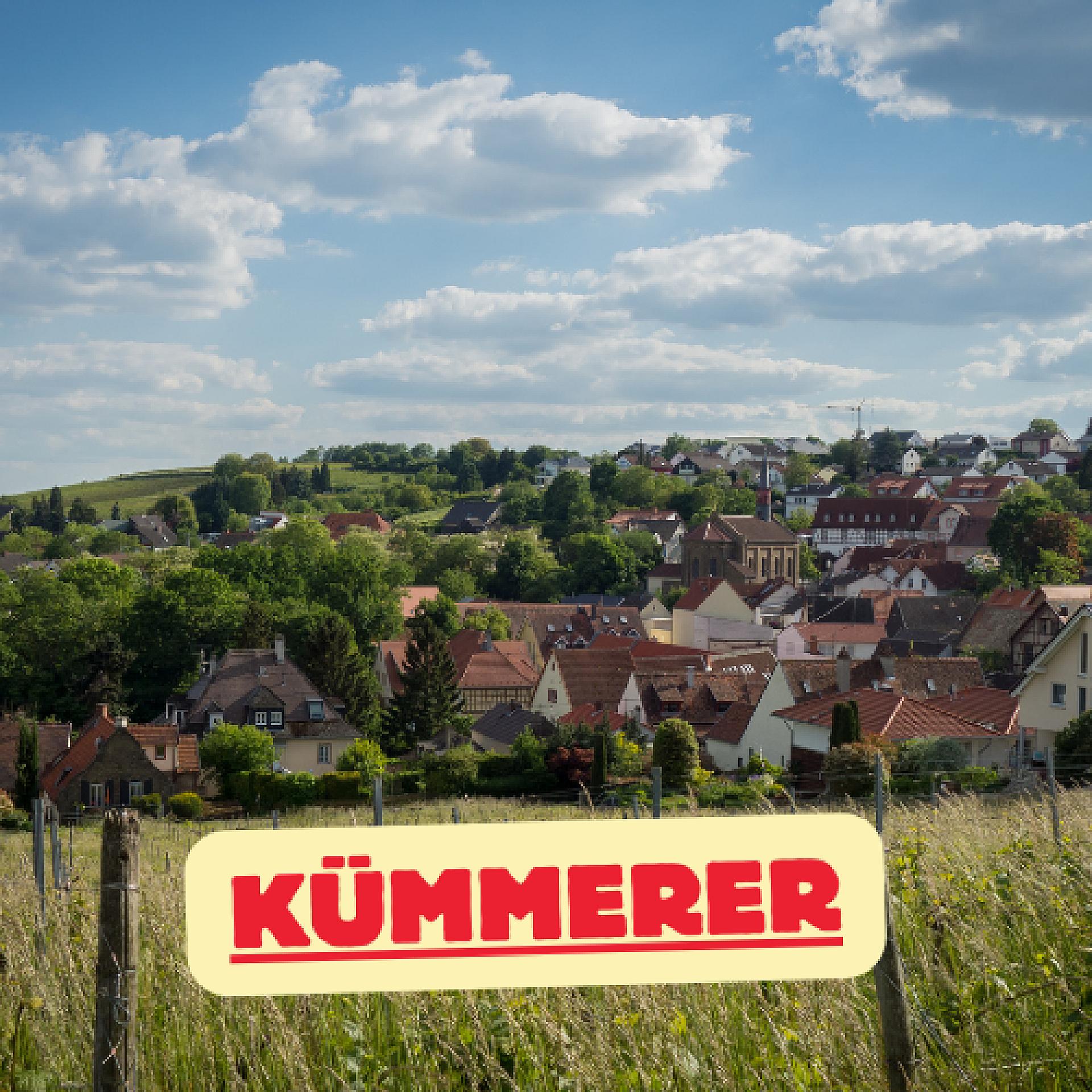 Kümmerer
