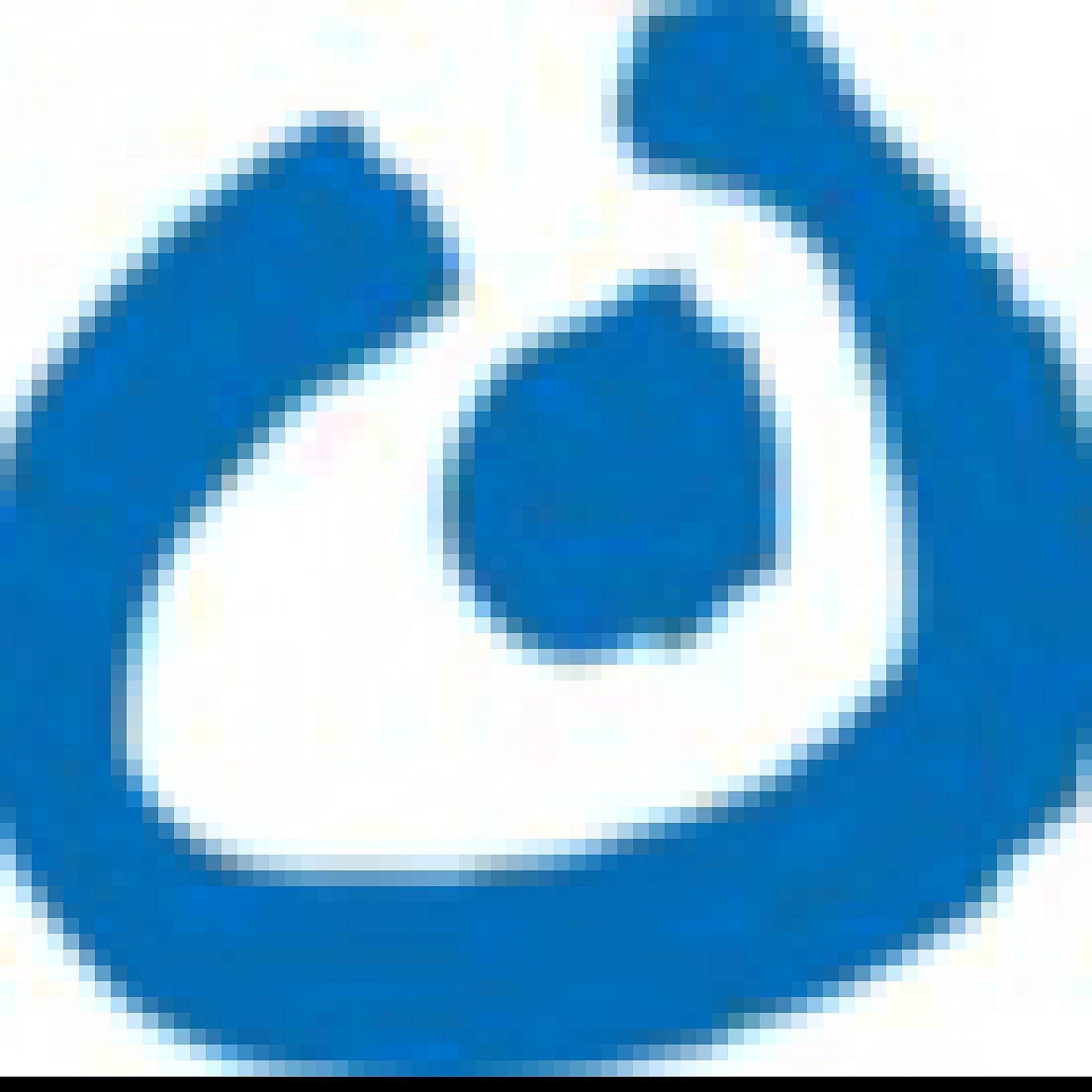 Lebenshilfe Mainz-Bingen