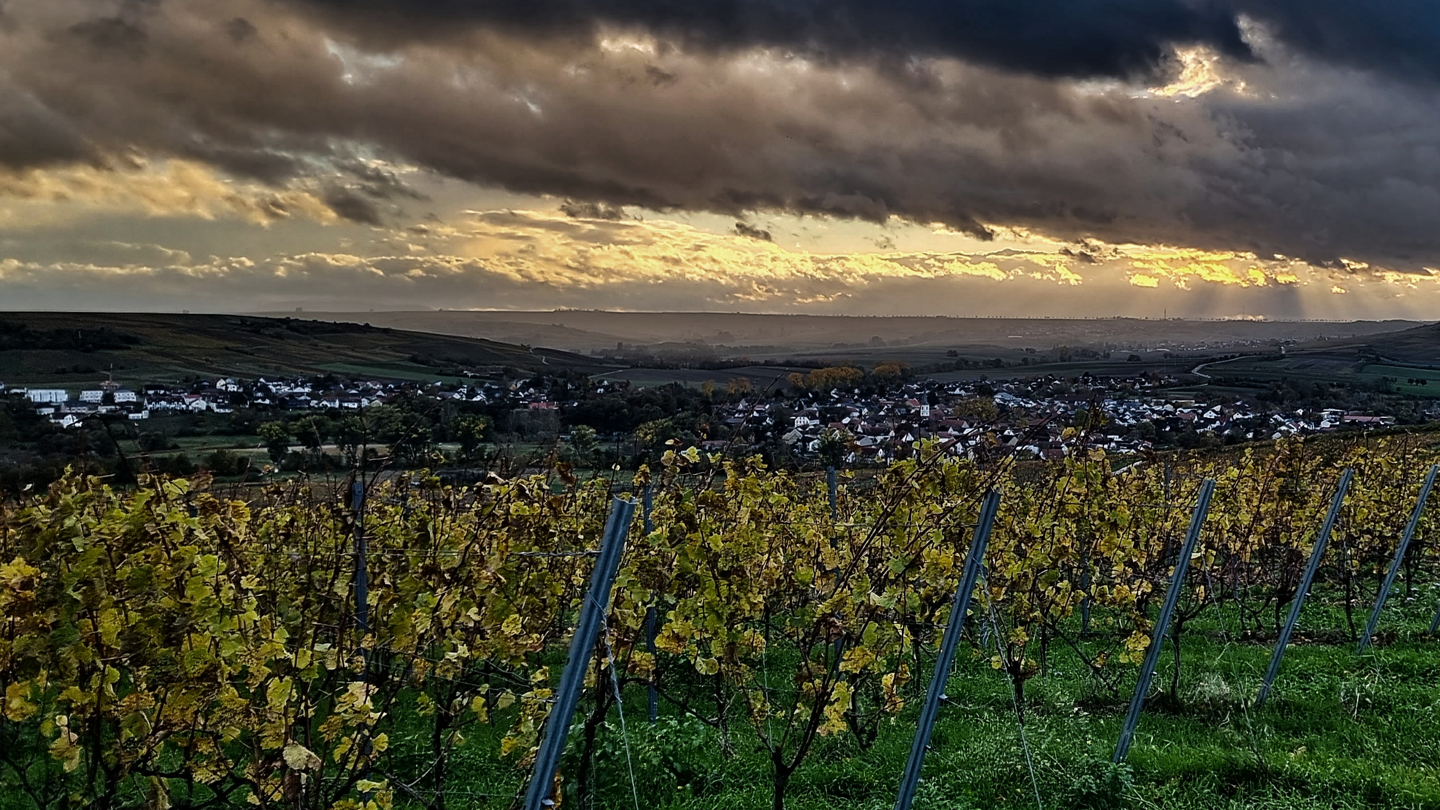 Header Background Medium