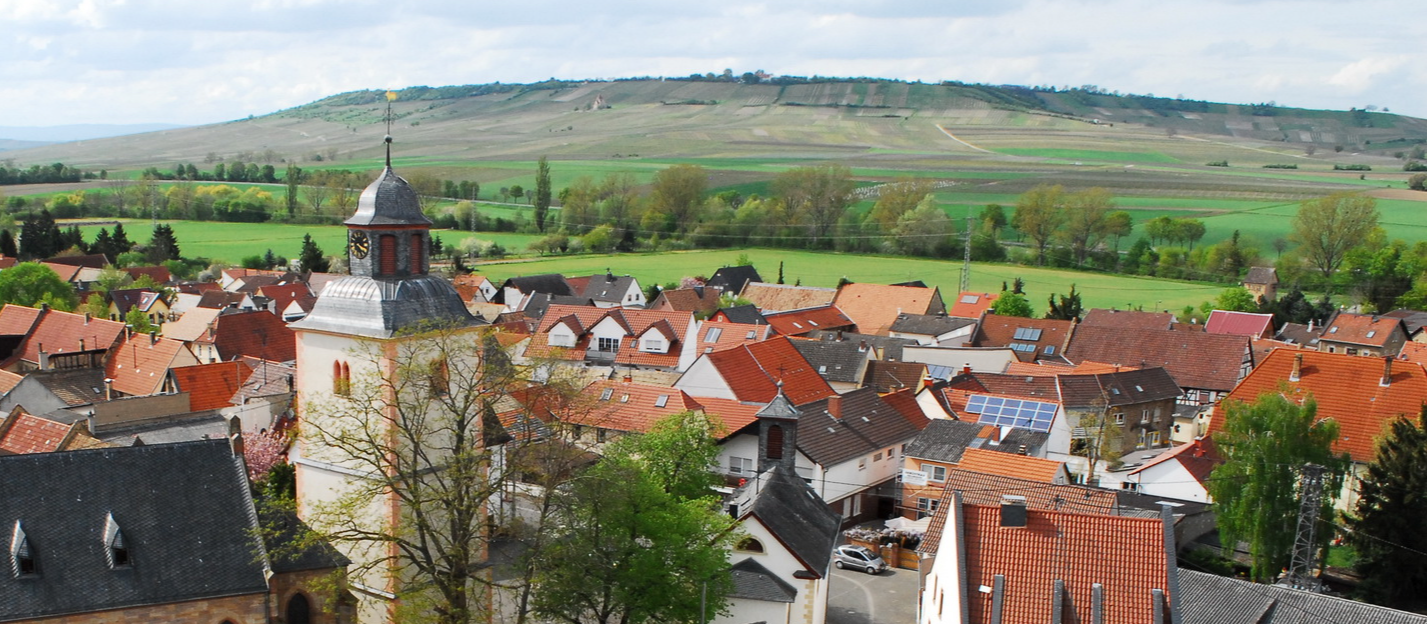 Header Background Large