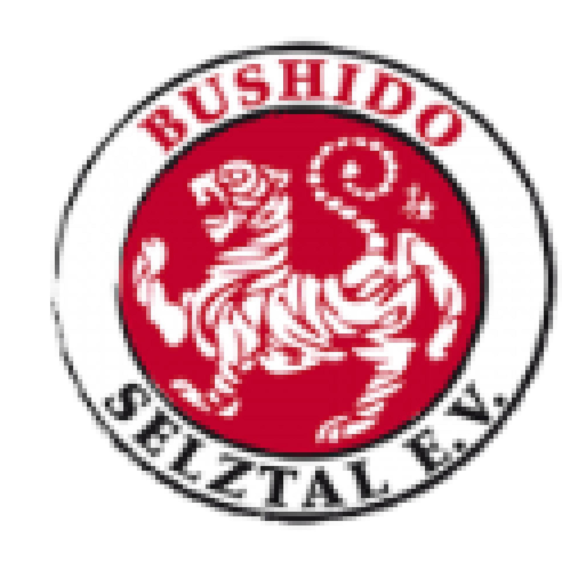 Bushido Selztal e.V.